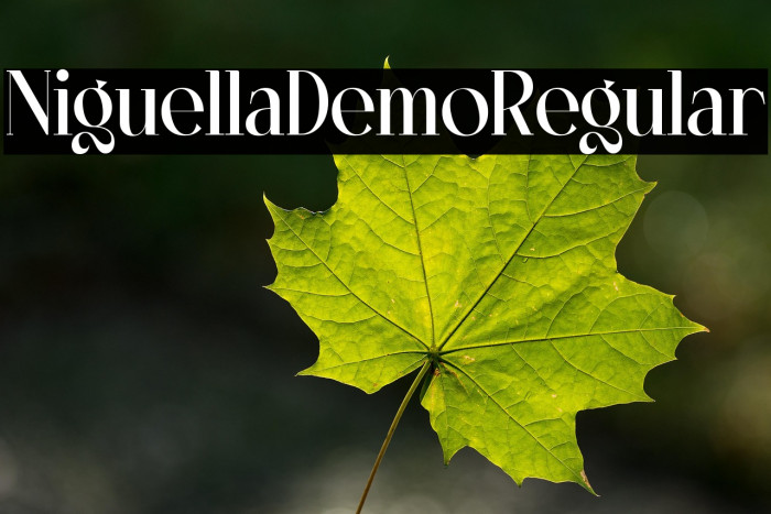 NiguellaDemo-Regular Example 3