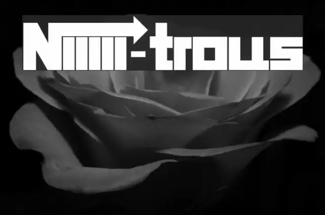 Niiiii-trous Font examples