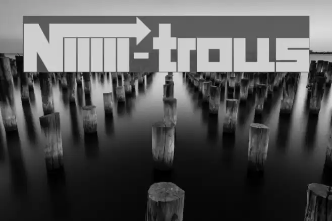 Niiiii-trous Font examples