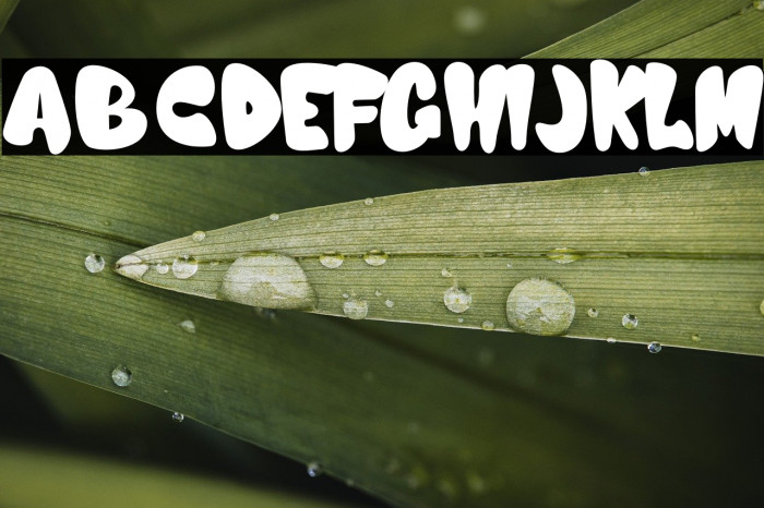 Nijikon japan - Personal use Example 1