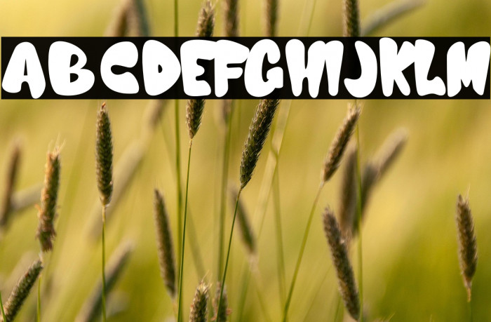 Nijikon japan - Personal use Example 2