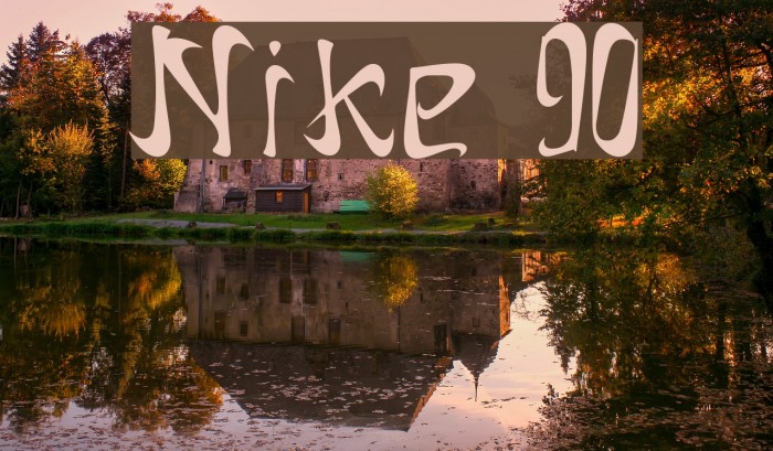 Nike 90 Example 1