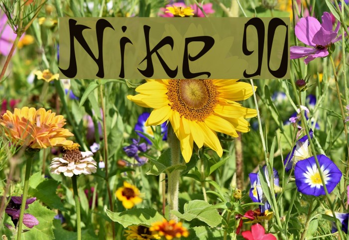 Nike 90 Example 2