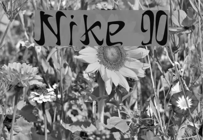 Nike 90 Font examples