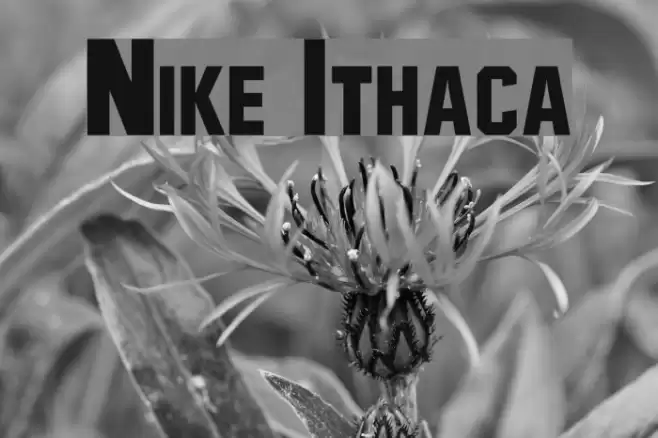 Nike Ithaca Font examples