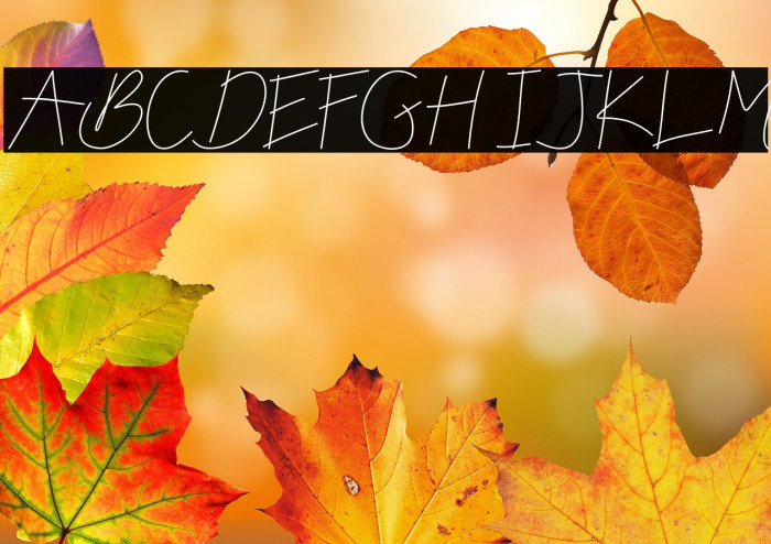 Nikeisha DEMO Example 1