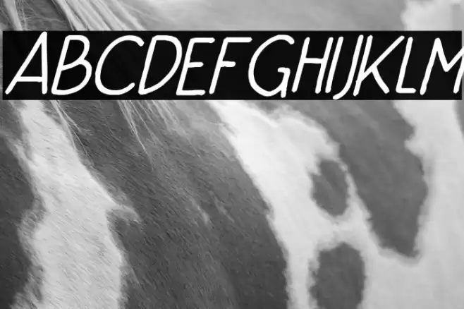 Niko Curt Italic Fuentes examples