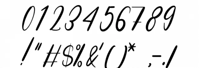 Niko Curt Script Fuentes OTROS CHARS