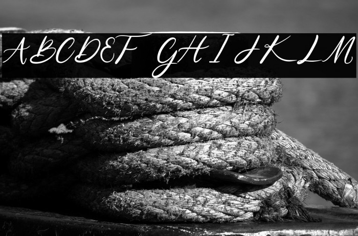 Niko Curt Script Example 1