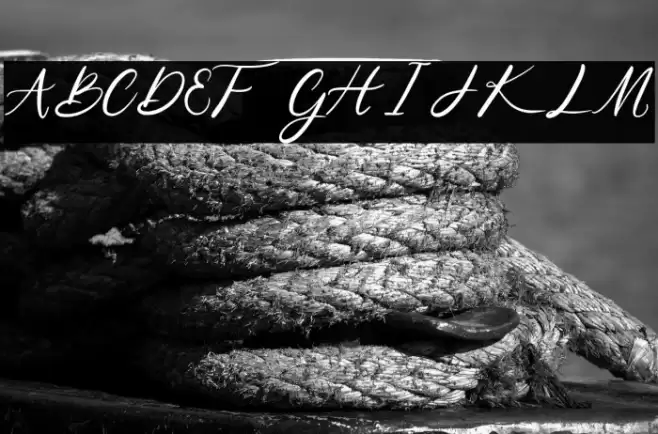 Niko Curt Script Fuentes examples