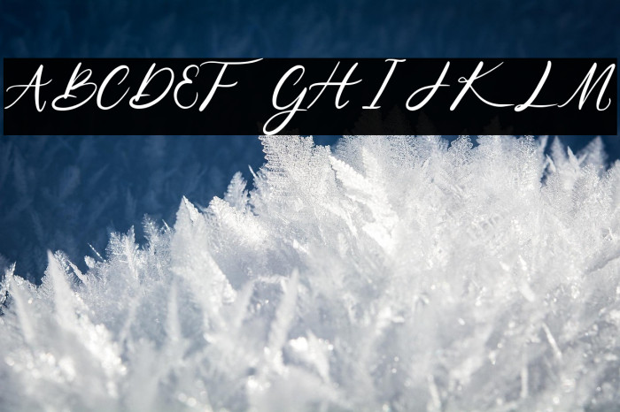 Niko Curt Script Example 2