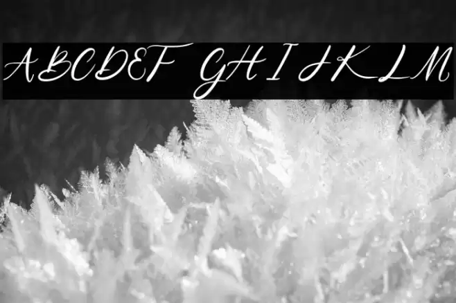 Niko Curt Script Fuentes examples