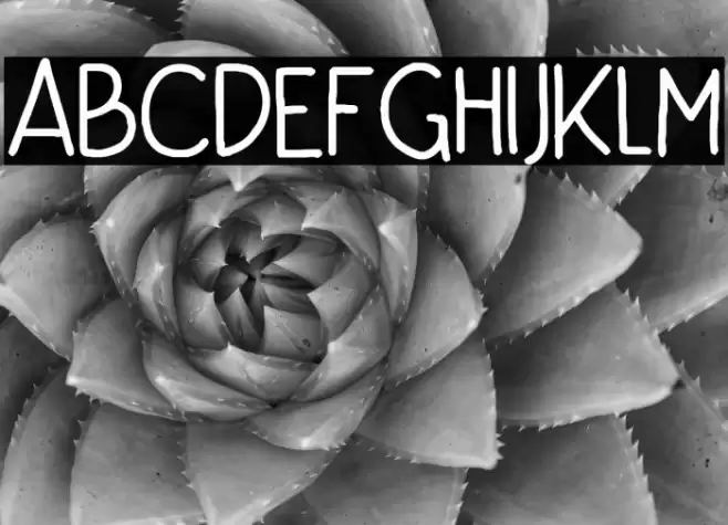 Niko Curt Fuentes examples