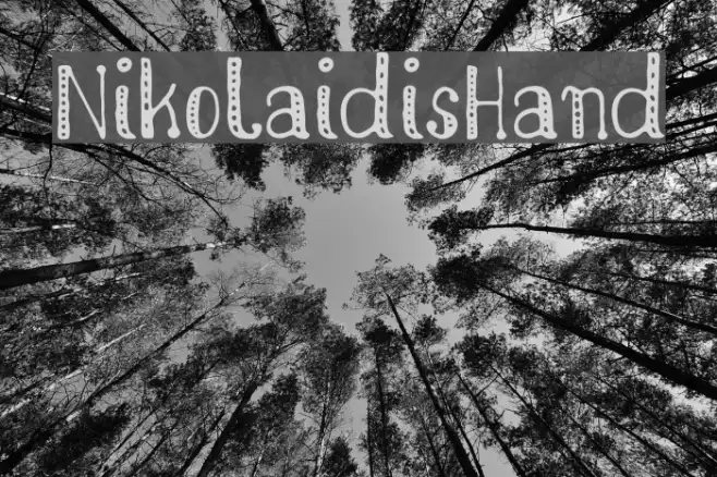 NikolaidisHand Example 2