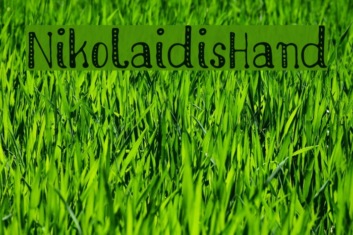 NikolaidisHand Font examples