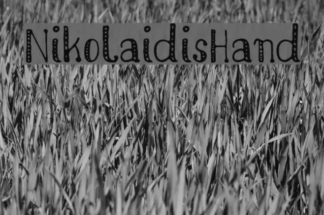 NikolaidisHand Example 3