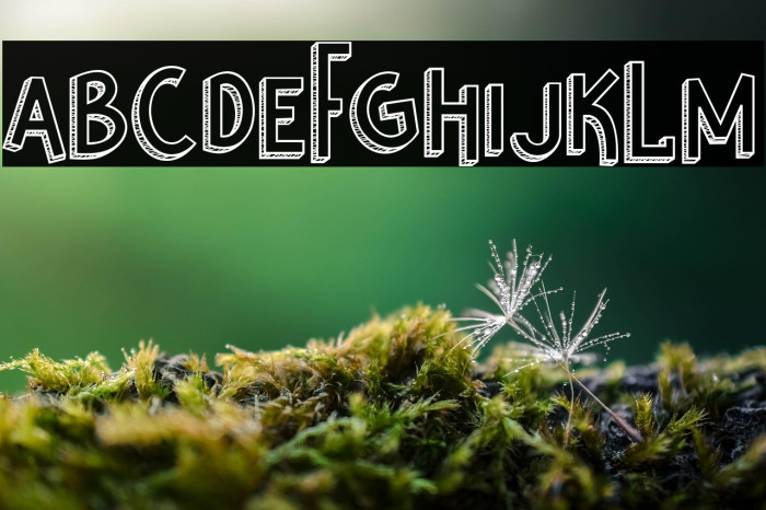 Nikolas & Pine Example 3