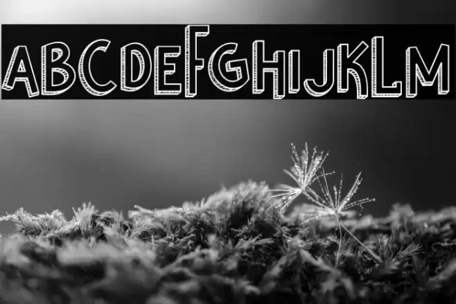 Nikolas & Pine Font examples