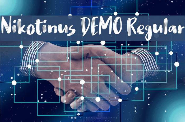 Nikotinus DEMO Regular Example 1