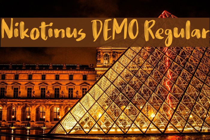 Nikotinus DEMO Regular Example 2