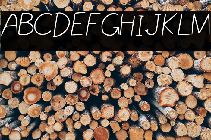 Nikukurin_s_handwriting Font examples