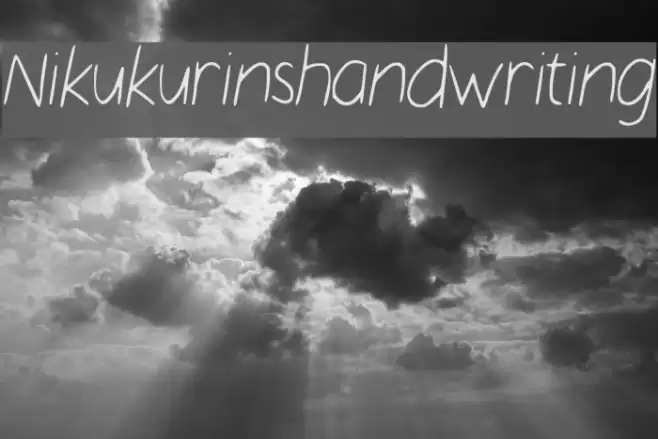 Nikukurin_s_handwriting Font examples