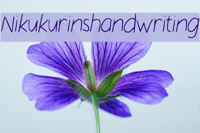 Nikukurin_s_handwriting Font examples