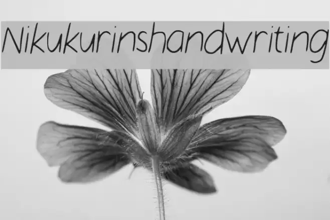 Nikukurin_s_handwriting Font examples
