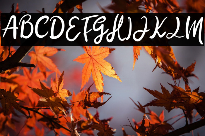 Nila Ambar Example 1