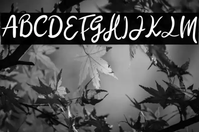 Nila Ambar Font examples