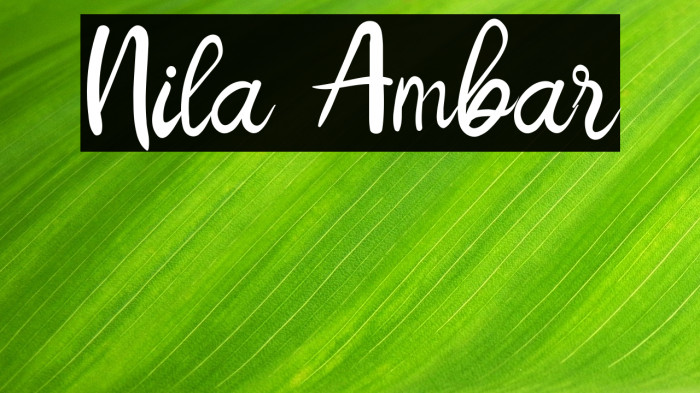 Nila Ambar Example 3