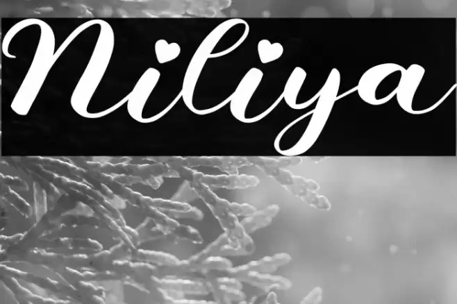 Niliya Font examples