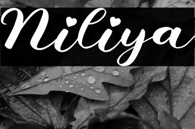 Niliya Font examples