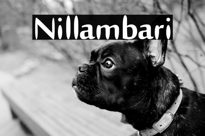 Nillambari Example 1