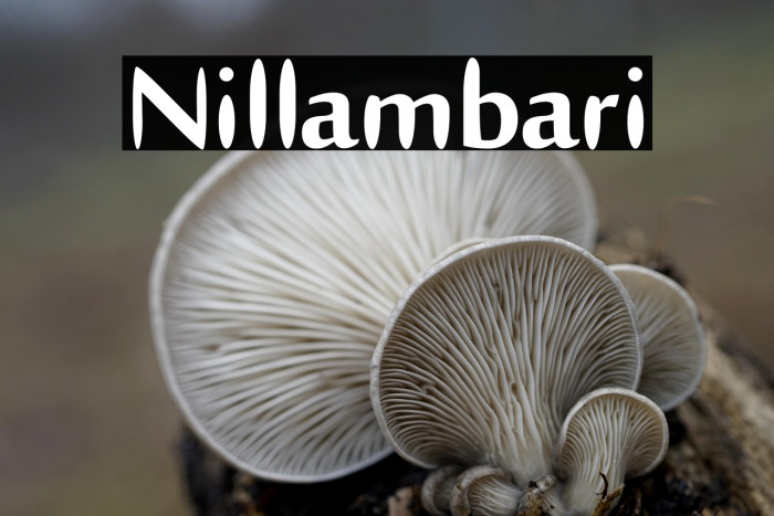 Nillambari Example 2