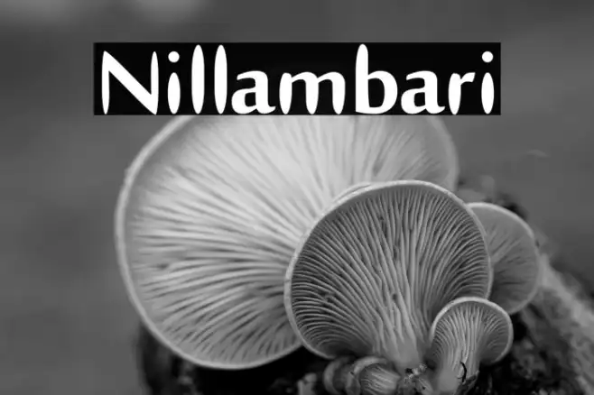 Nillambari Example 2