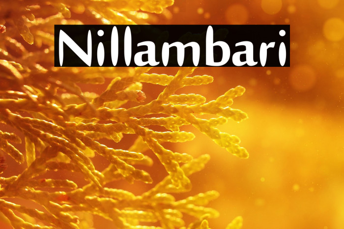 Nillambari Example 3