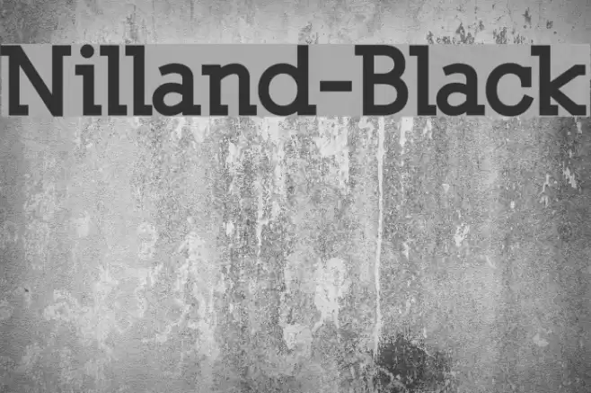 Nilland-Black Font examples