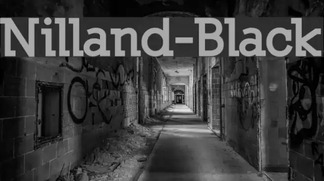 Nilland-Black Font examples