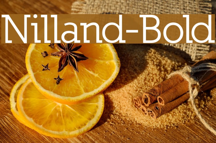 Nilland-Bold Polices examples