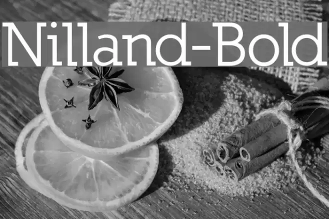 Nilland-Bold Font examples