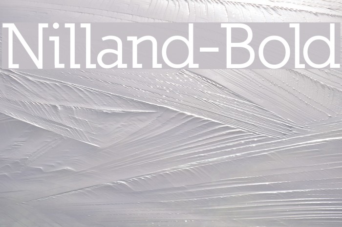Nilland-Bold Polices examples