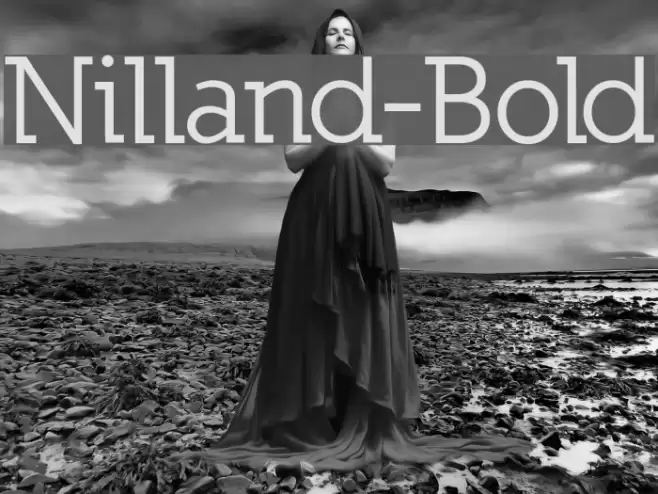 Nilland-Bold Font examples
