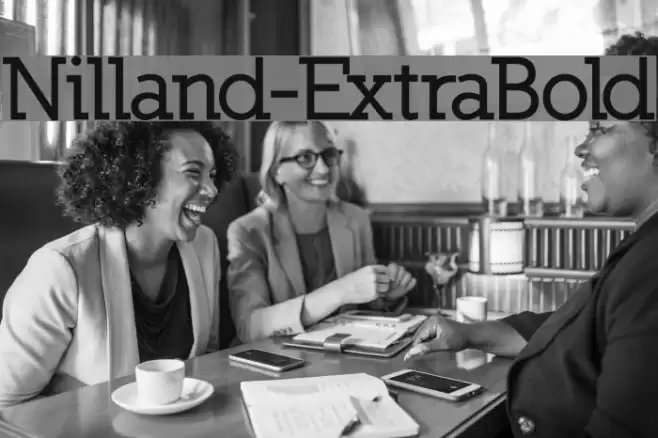 Nilland-ExtraBold Polices examples