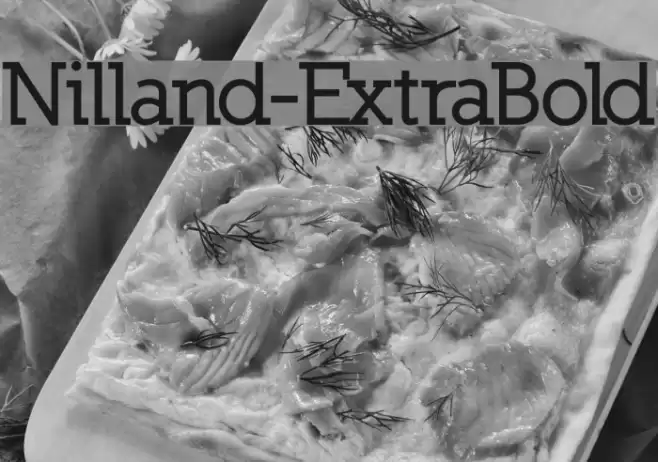 Nilland-ExtraBold Polices examples