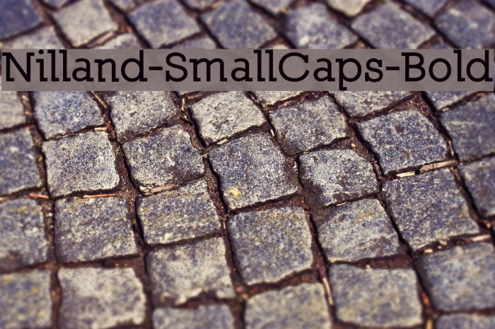 Nilland-SmallCaps-Bold Font examples