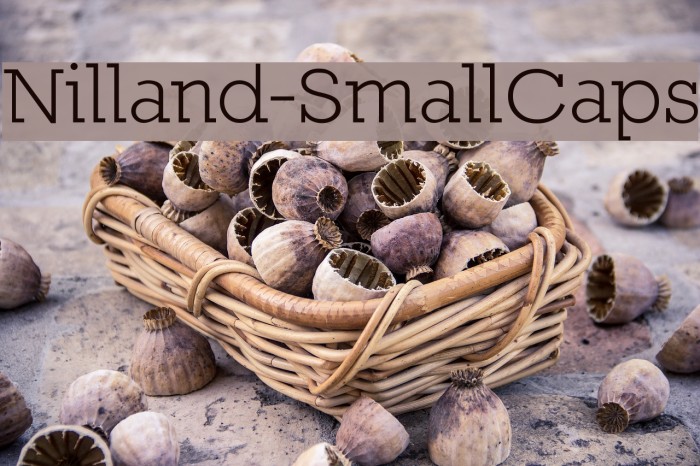 Nilland-SmallCaps Font examples