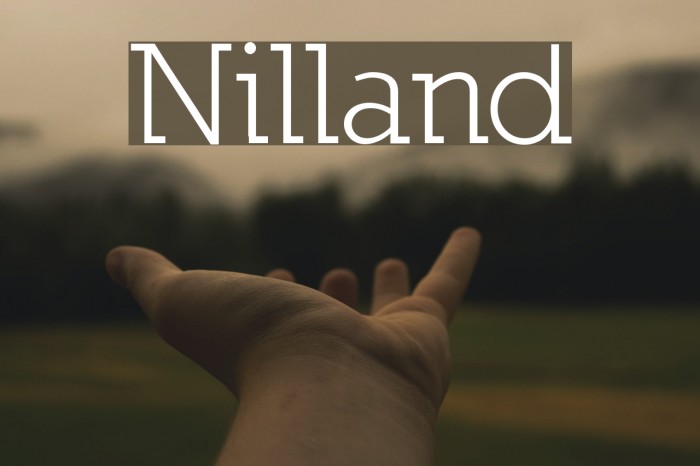 Nilland Font examples