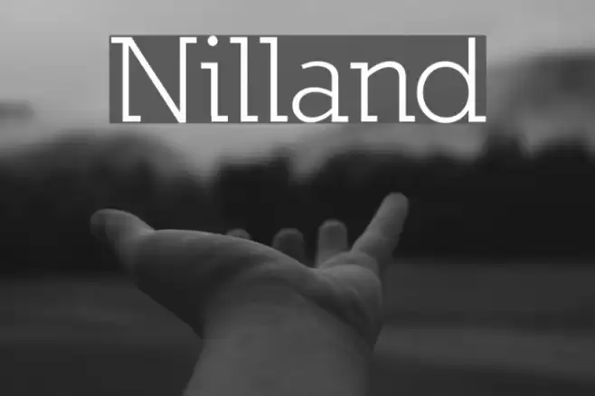 Nilland Polices examples