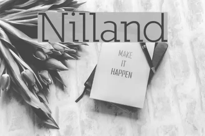 Nilland Polices examples
